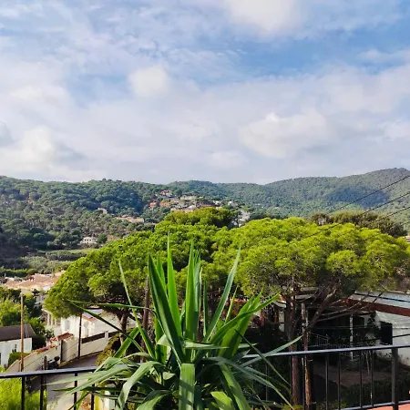 Cozy Place, Big Roof Terrace & Spectacular Views. Apartment